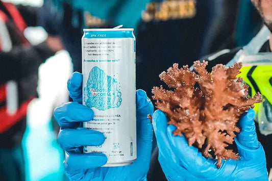 corals canned water nea photo